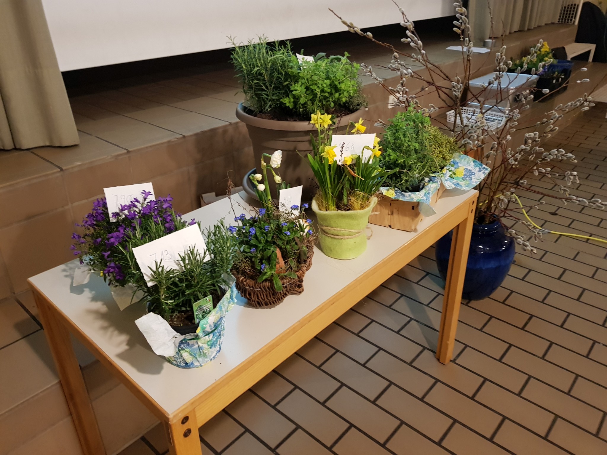 Frühjahrsversammlung 2019