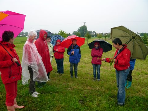 Kräuterführung 2011