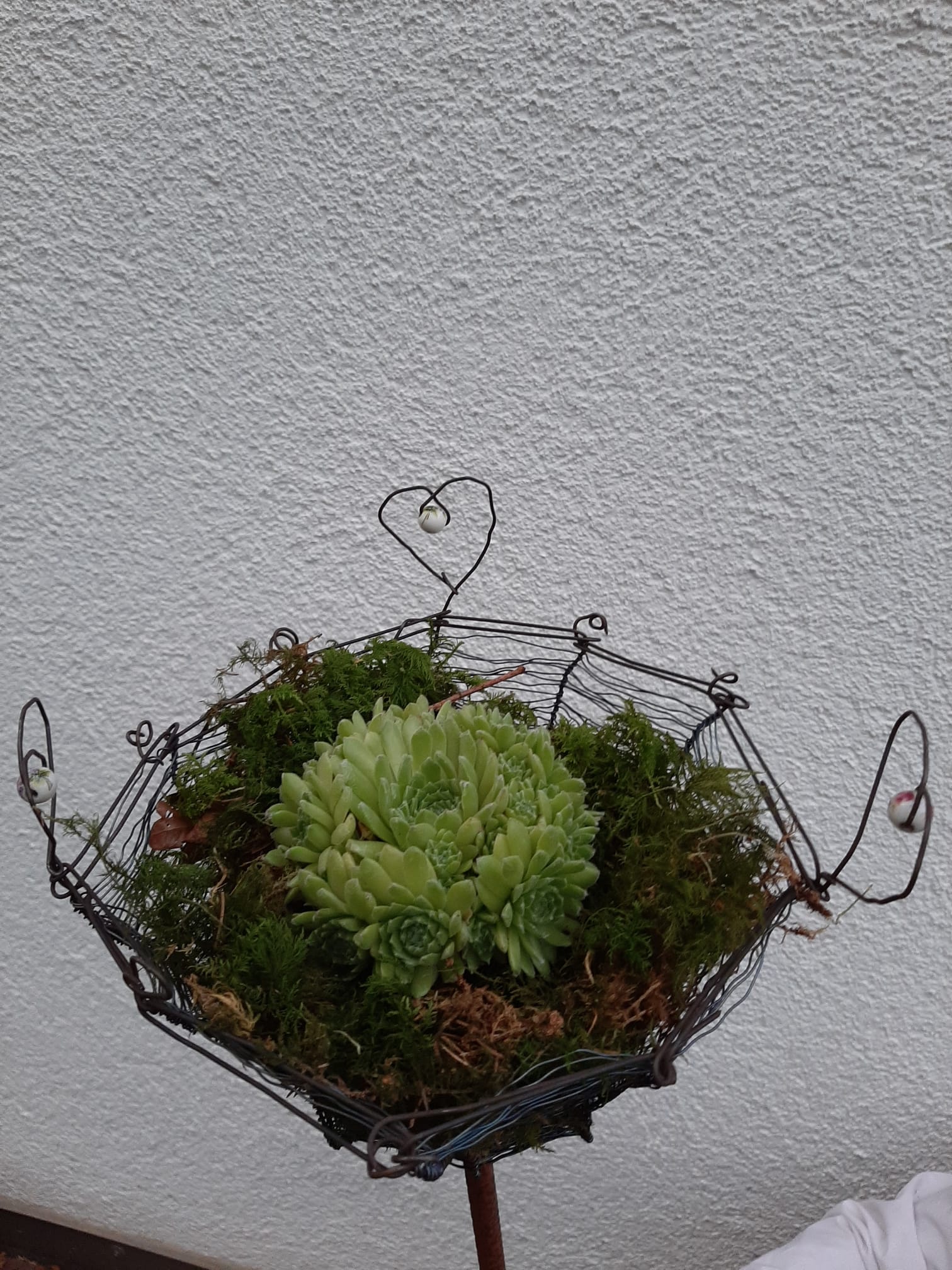 Kreativer Abend im Pfarrgarten: Drahtige Gartennester gestaltet