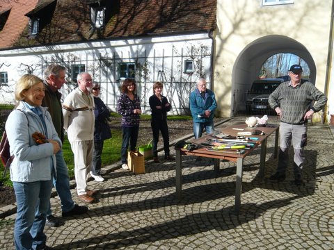 Rosenschnittkurs 2013