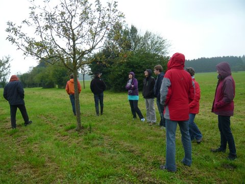 Apfelkuchenfest 2014