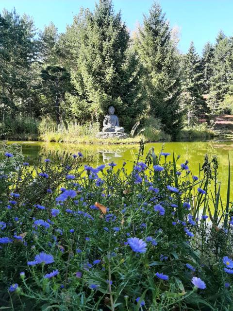 nepal-himalaya-park-teich-buddha