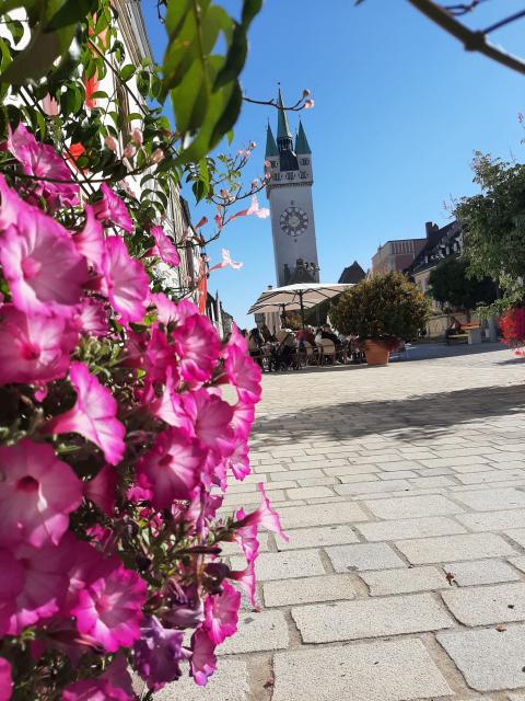 straubing-stadtturm-blumen