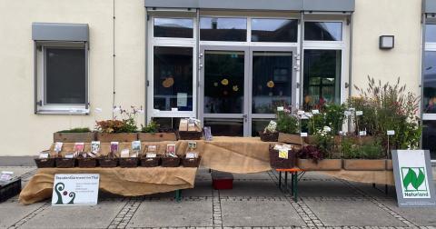 PHOTO-2023-10-16-09-23-21