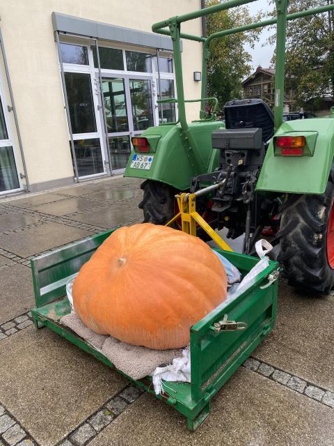 bauernmarkt-kuerbis-anlieferung-traktor