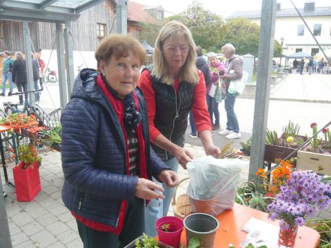 bauernmarkt-pflanzentausch-beratung