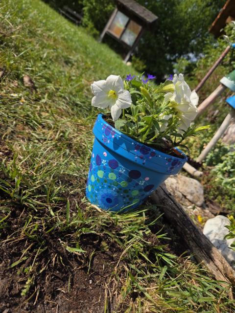 PHOTO-2026-05-14-16-22-36-3