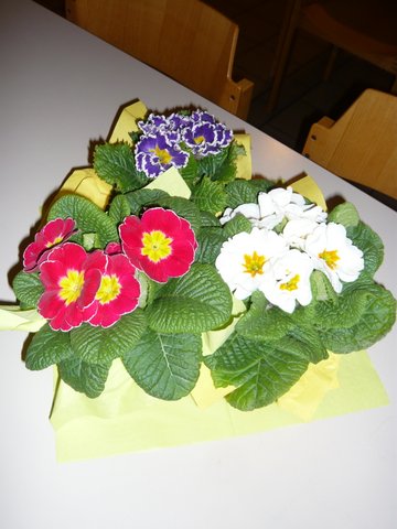 Frühjahrsversammlung 2018