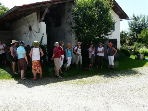 Kräuterführung 2012