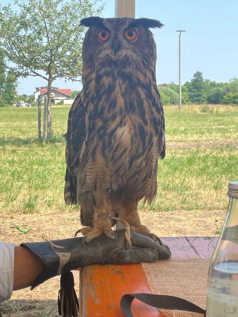 PHOTO-2023-07-31-12-08-53-2