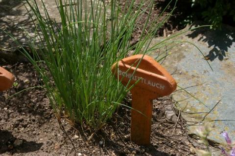 Neumeier-Juni-08--10-