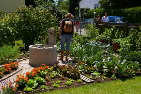 Neumeier-Juni-08--11-