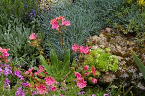 Neumeier-Mai-08--17-