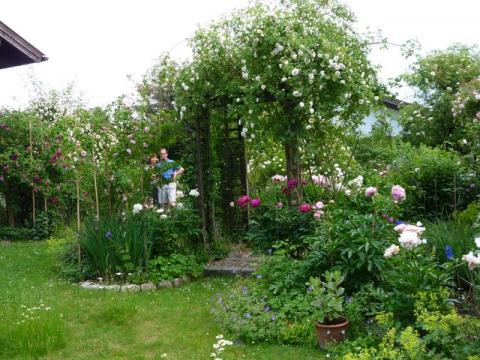 PittnerAnf-Juni--15-