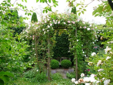 PittnerAnf-Juni--21-