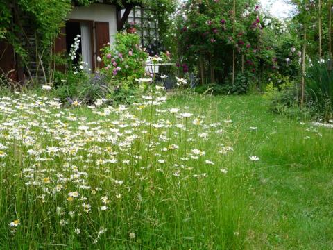 PittnerAnf-Juni--31-