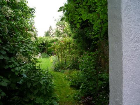 PittnerAnf-Juni--34-