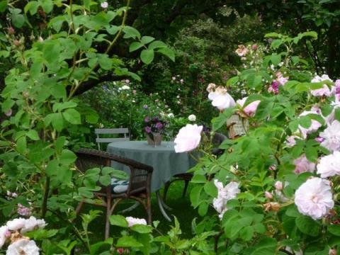 PittnerAnf-Juni--44-