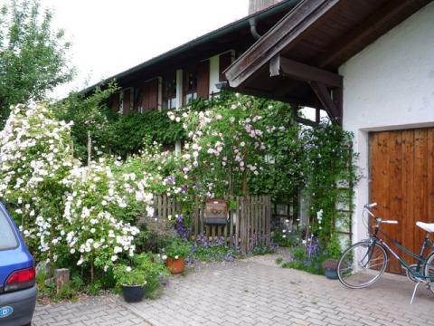 PittnerAnf-Juni--45-