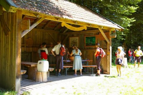 Stp---bermoos-Juni-08