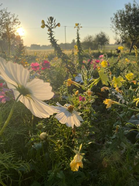 PHOTO-2023-09-07-10-20-10_1