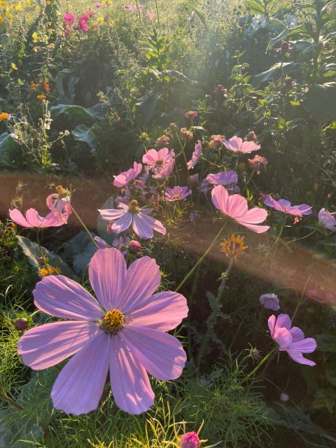 PHOTO-2023-09-07-10-20-11_1