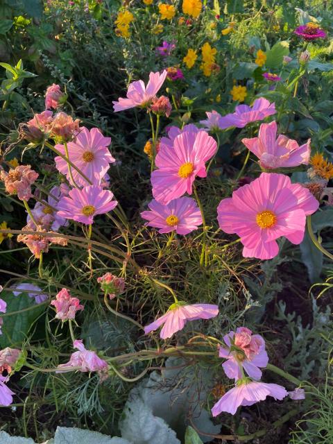 PHOTO-2023-09-07-10-20-12