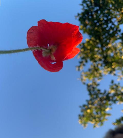 PHOTO-2023-09-07-10-20-12_1