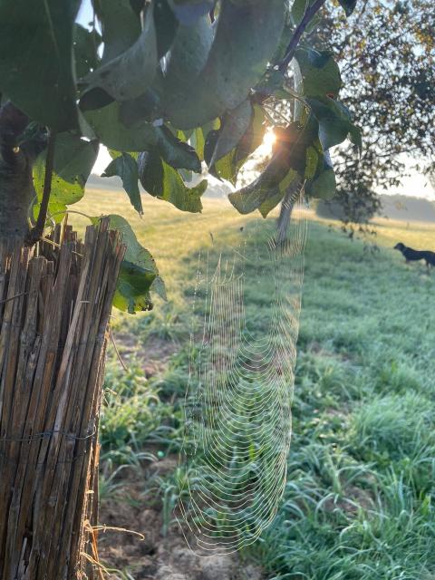 PHOTO-2023-09-07-10-20-13_1