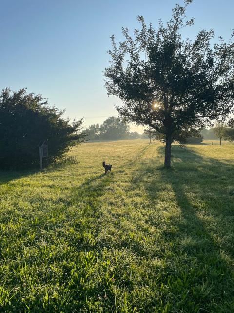 PHOTO-2023-09-07-10-20-14