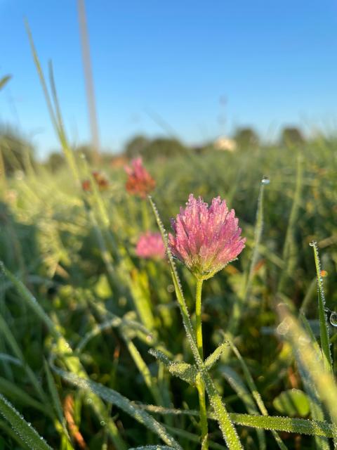 PHOTO-2023-09-07-10-20-15