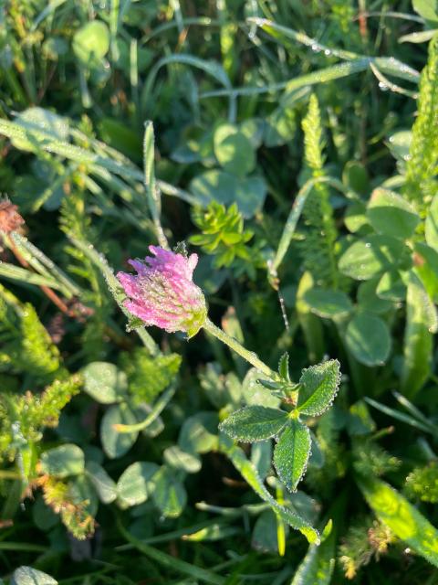 PHOTO-2023-09-07-10-20-16