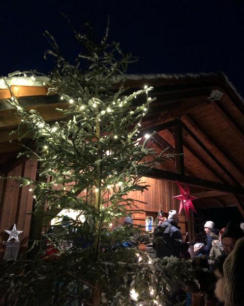 PHOTO-2022-12-18-20-33-35-2