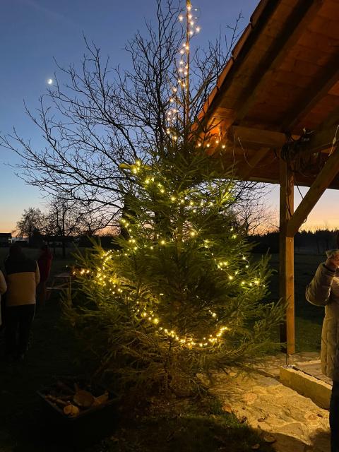 PHOTO-2023-12-17-19-41-10